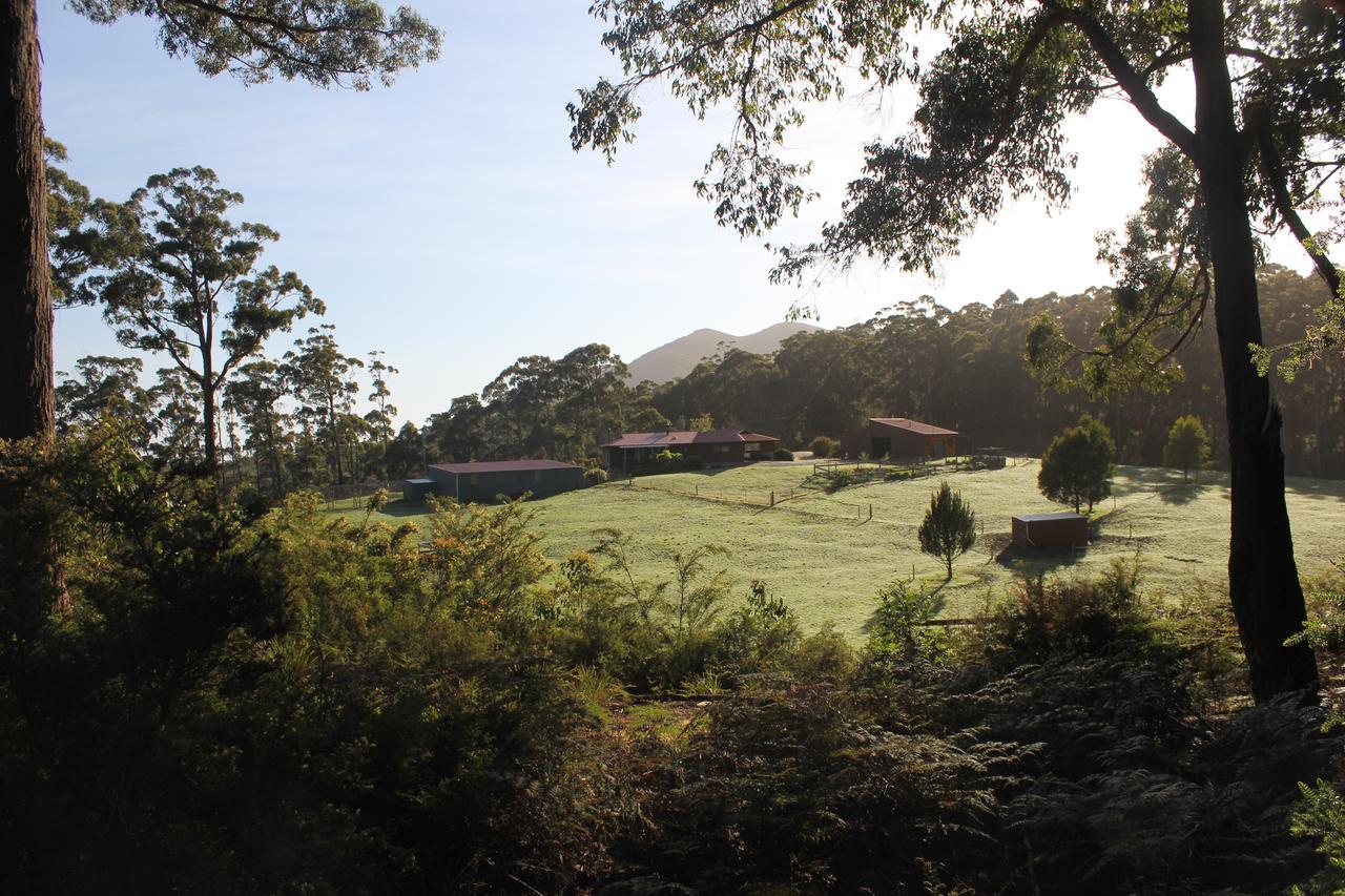 鹰之栖息农庄住宿加早餐旅馆 Rocky Cape 外观 照片