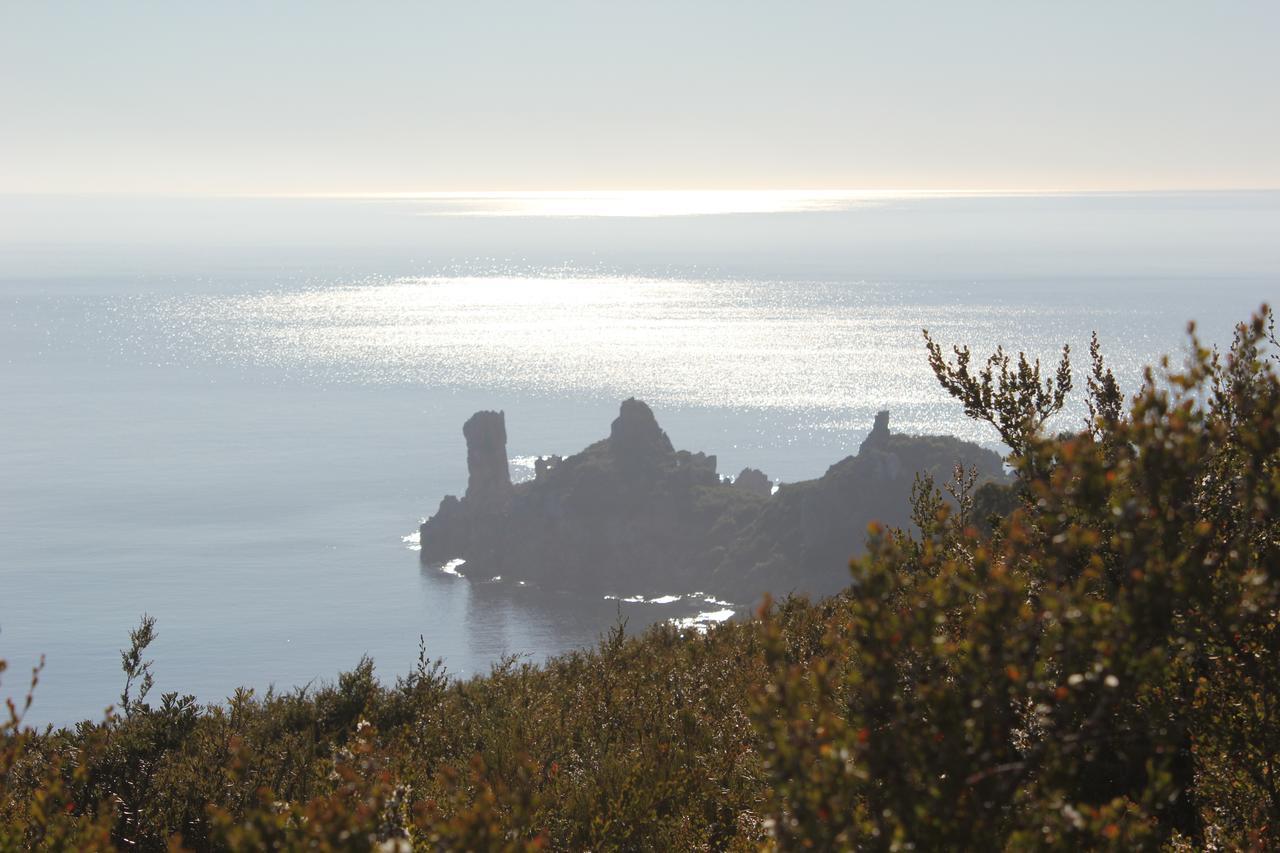 鹰之栖息农庄住宿加早餐旅馆 Rocky Cape 外观 照片