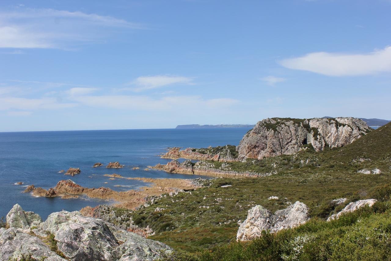 鹰之栖息农庄住宿加早餐旅馆 Rocky Cape 外观 照片